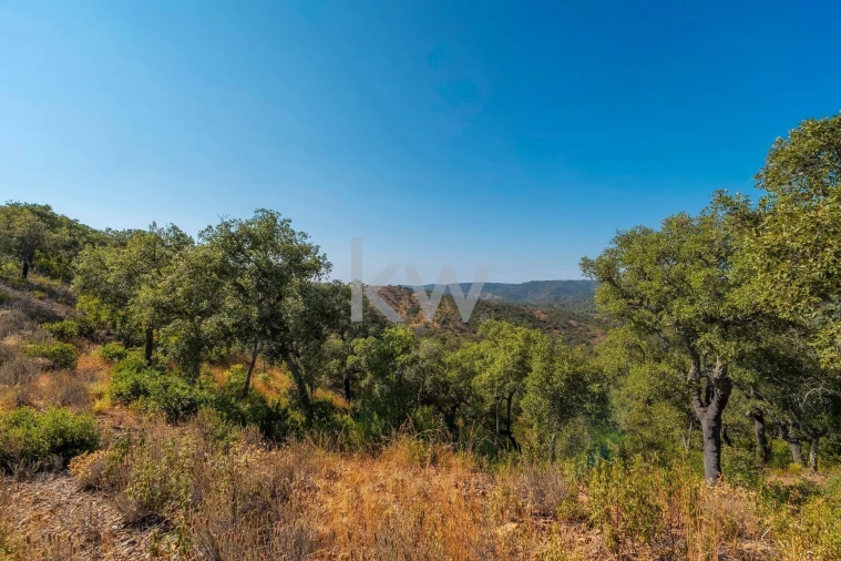 Terreno para Venda em Querença, Tôr e Benafim Foto 8
