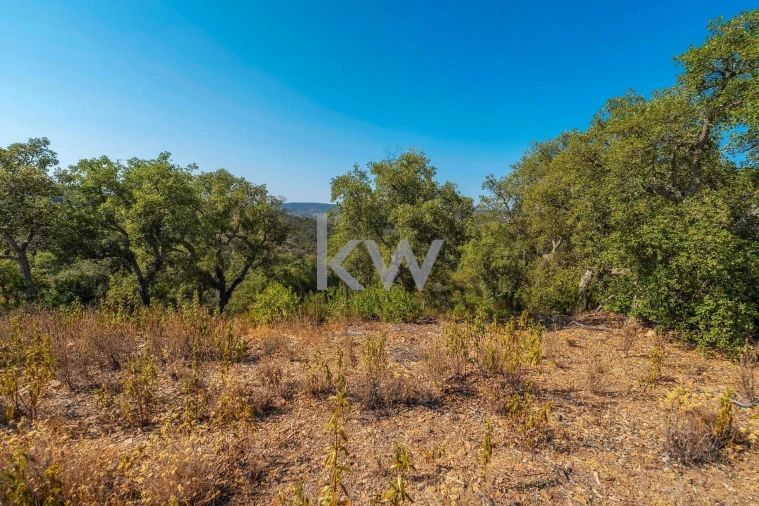 Terreno para Venda em Querença, Tôr e Benafim Foto 10
