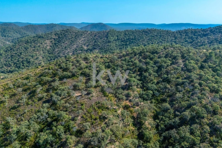 Terreno para Venda em Querença, Tôr e Benafim Foto 23