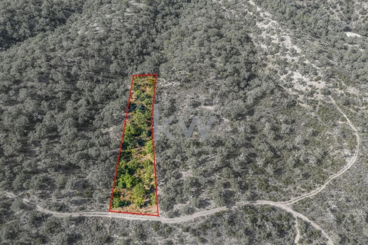 Terreno para Venda em Querença, Tôr e Benafim Foto 16