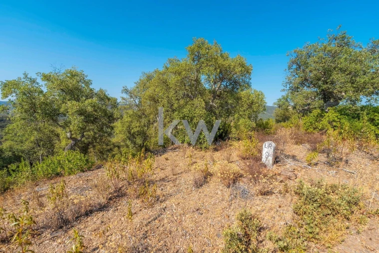 Terreno para Venda em Querença, Tôr e Benafim Foto 9