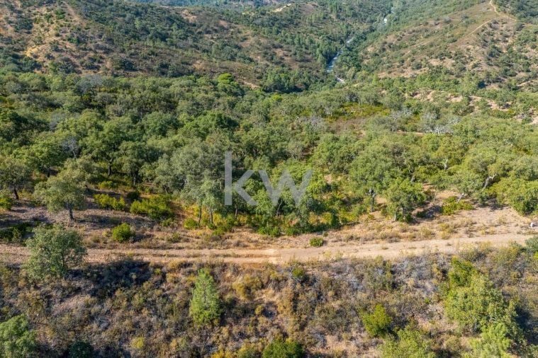 Terreno para Venda em Querença, Tôr e Benafim Foto 29