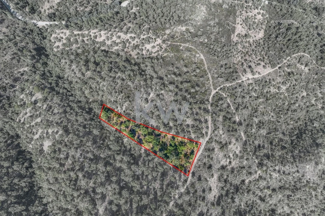 Terreno para Venda em Querença, Tôr e Benafim Foto 20