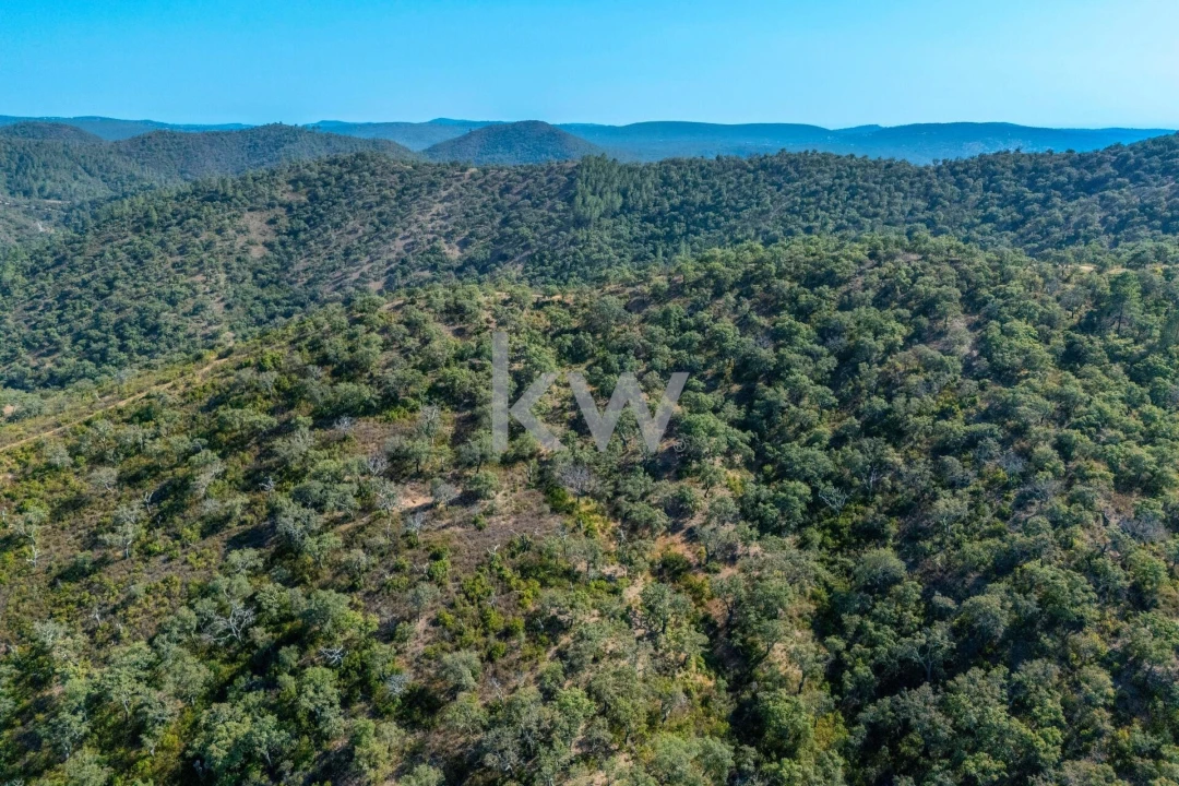 Terreno para Venda em Querença, Tôr e Benafim Foto 23