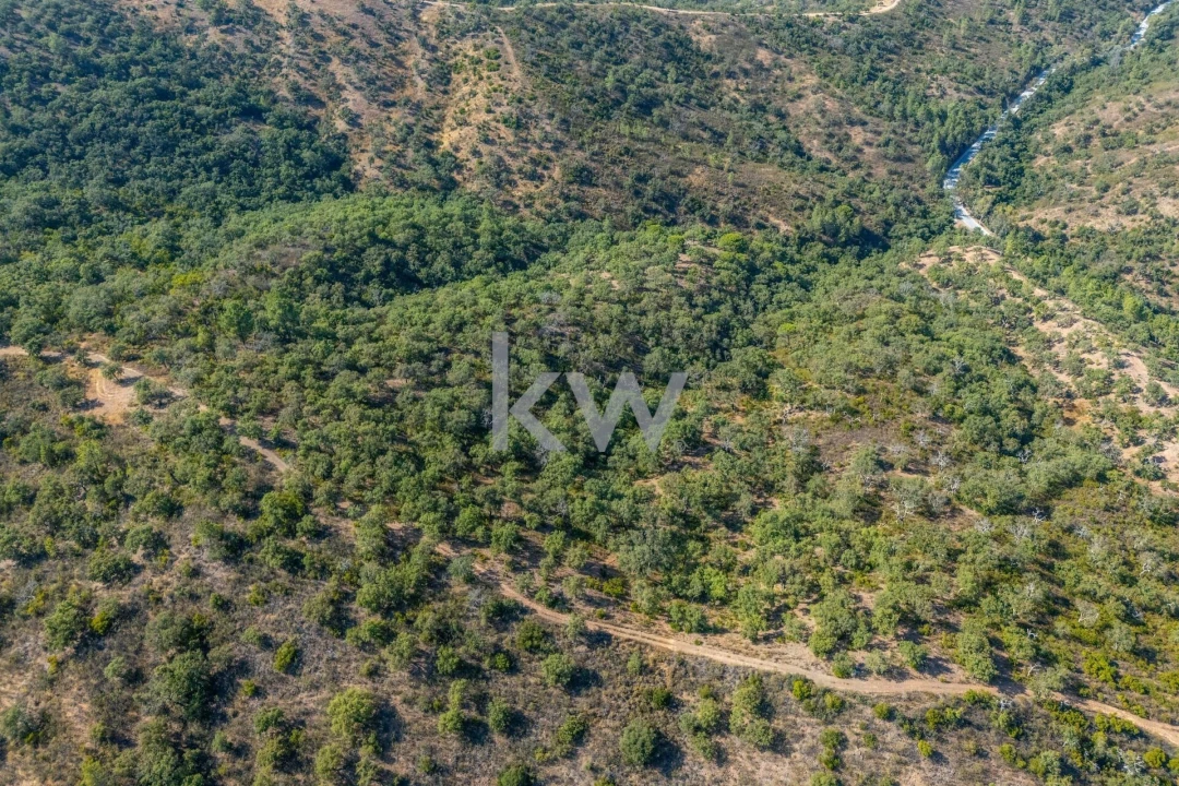 Terreno para Venda em Querença, Tôr e Benafim Foto 22