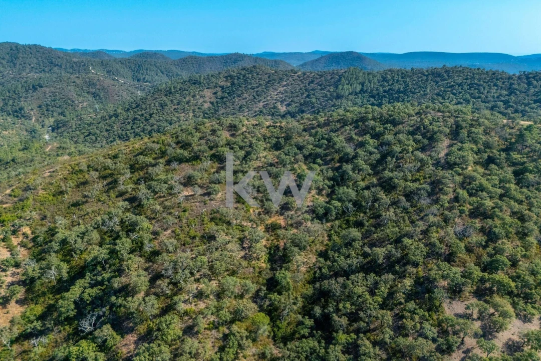 Terreno para Venda em Querença, Tôr e Benafim Foto 25