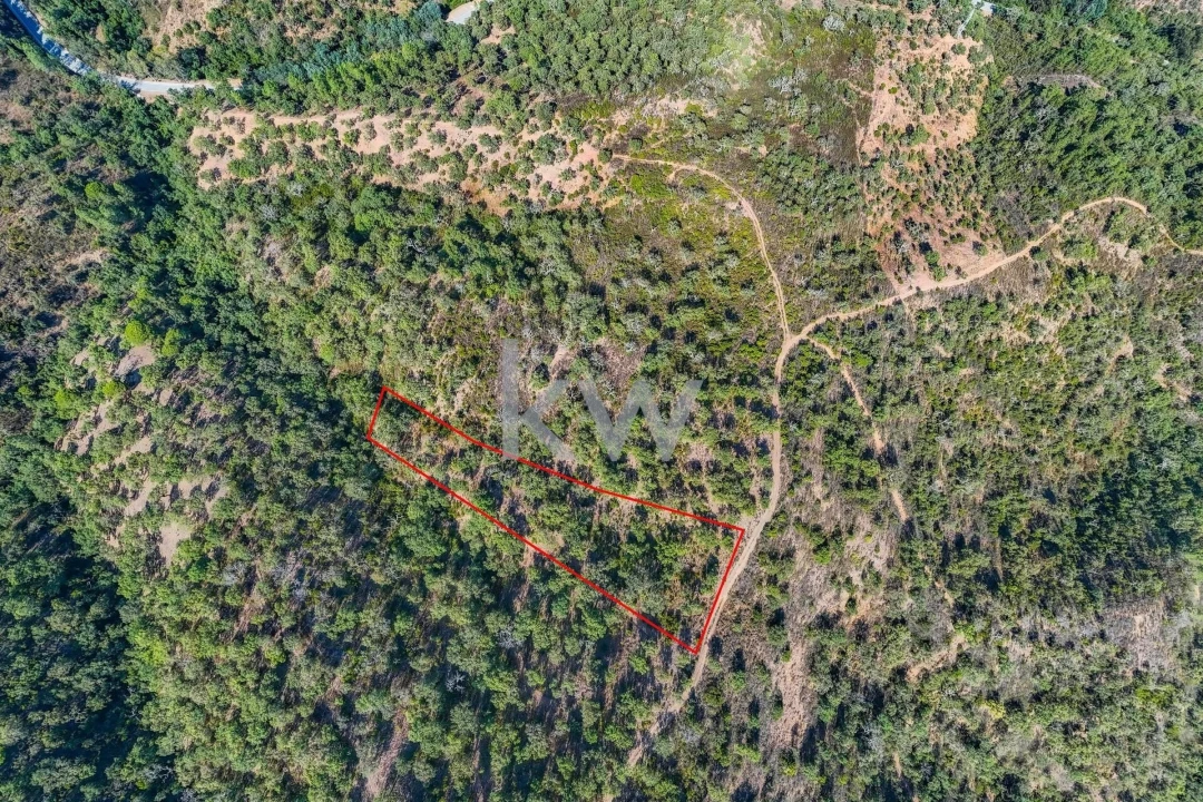 Terreno para Venda em Querença, Tôr e Benafim Foto 19