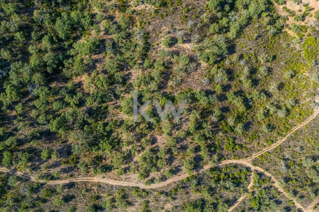 Terreno para Venda em Querença, Tôr e Benafim Foto 14
