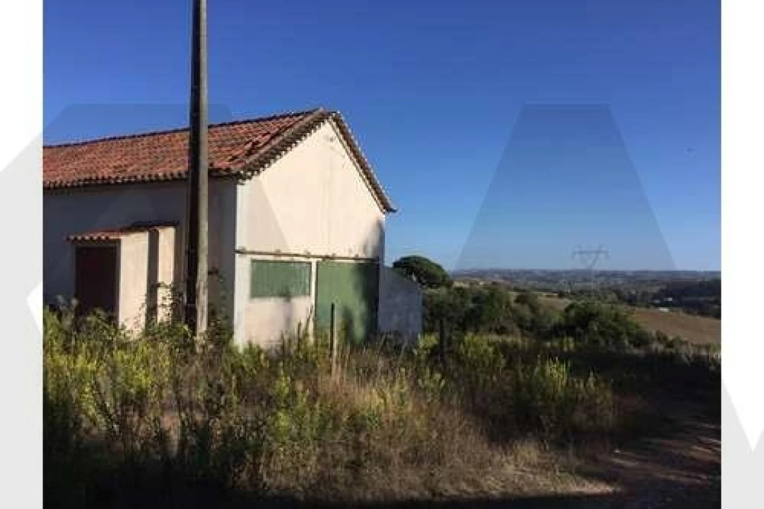 Quinta T5 para Venda em Ventosa Foto 3