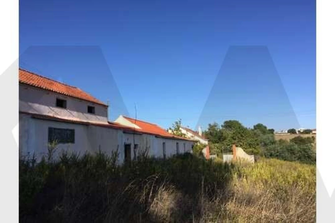 Quinta T5 para Venda em Ventosa Foto 2