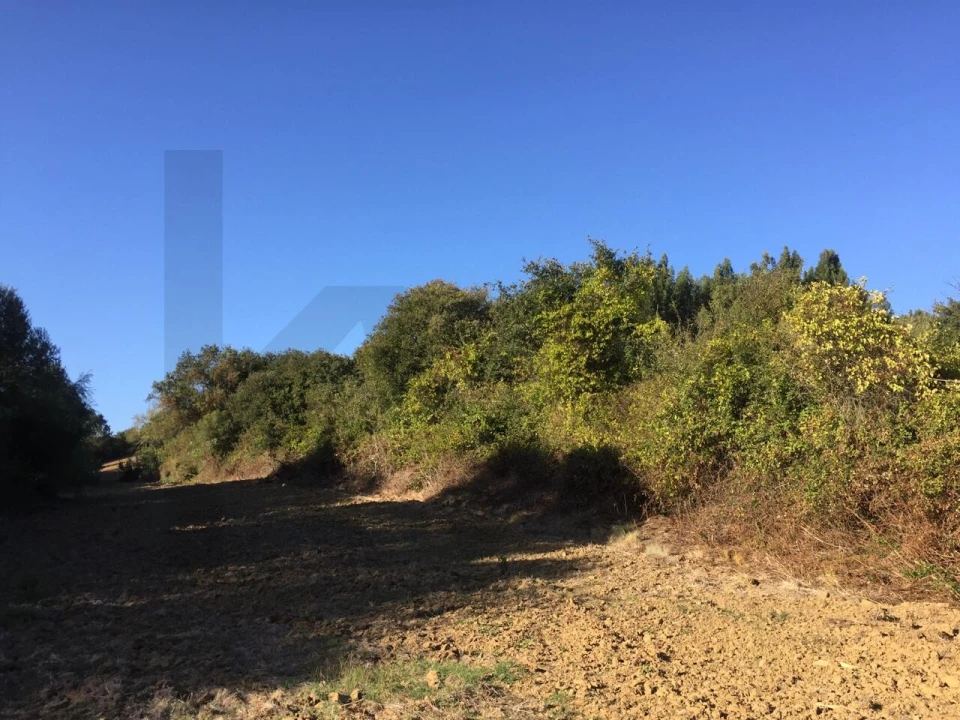 Quinta T5 para Venda em Ventosa Foto 8