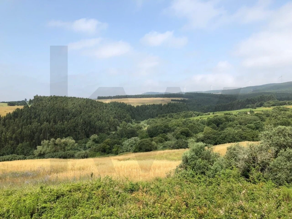 Quinta T5 para Venda em Ventosa Foto 13