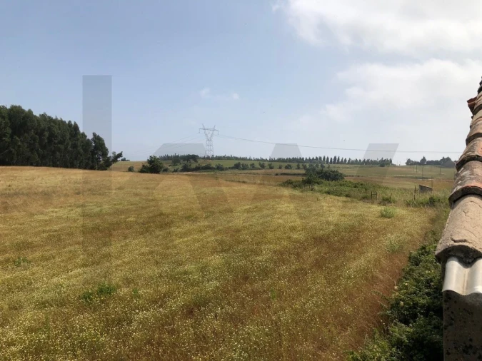 Quinta T5 para Venda em Ventosa Foto 10