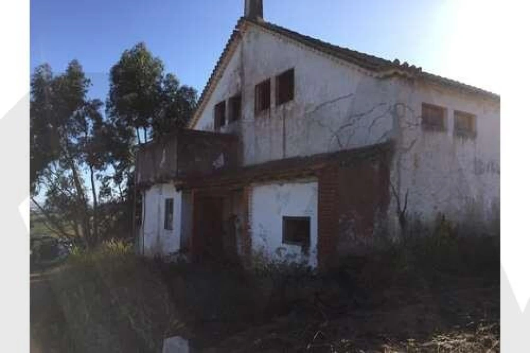 Quinta T5 para Venda em Ventosa Foto 4