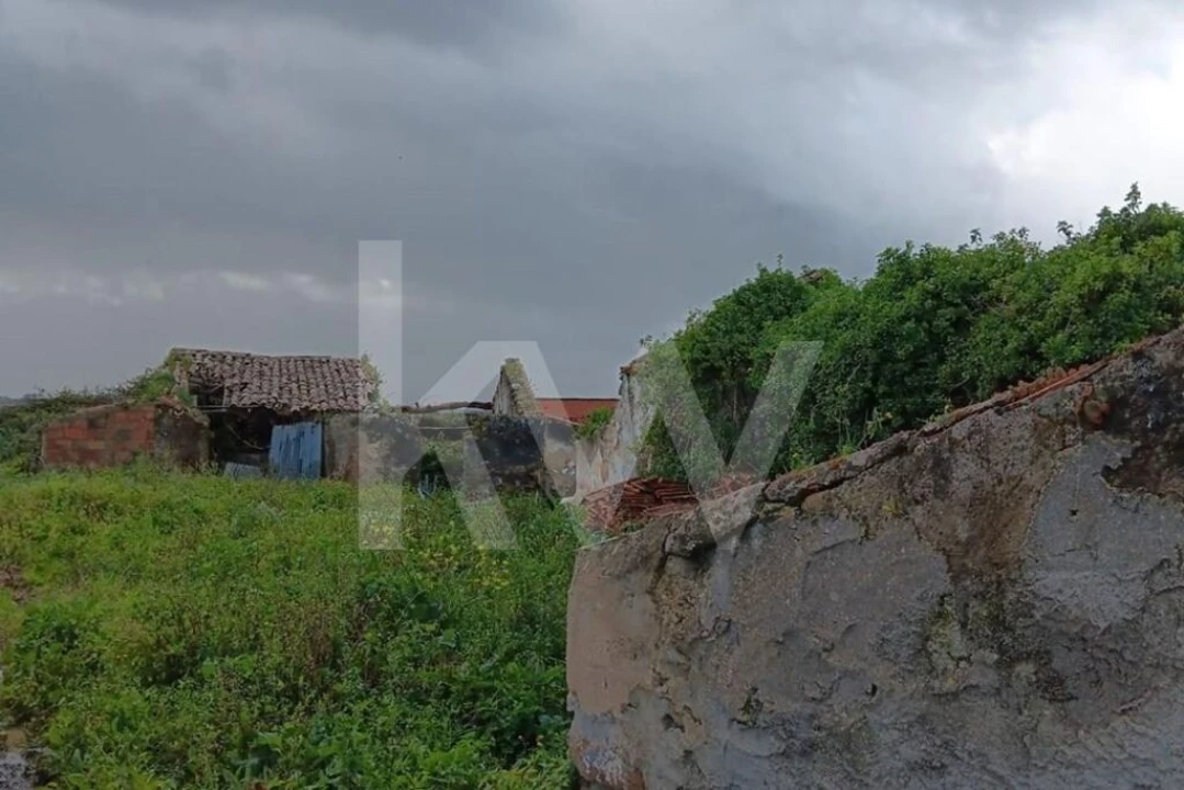 Quinta T4 para Venda em Santo Isidoro Foto 6