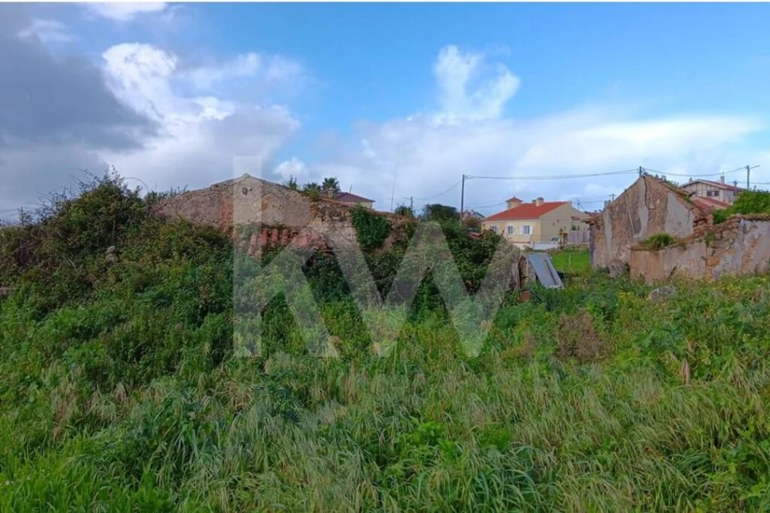 Quinta T4 para Venda em Santo Isidoro Foto 24