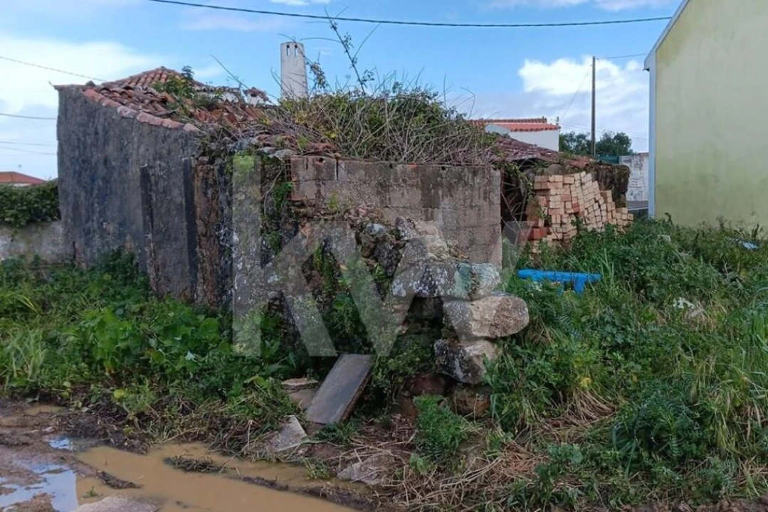 Quinta T4 para Venda em Santo Isidoro Foto 18