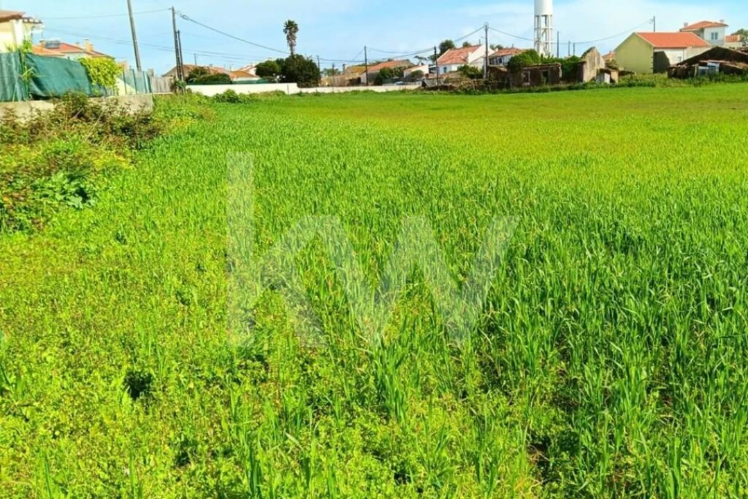 Quinta T4 para Venda em Santo Isidoro Foto 33