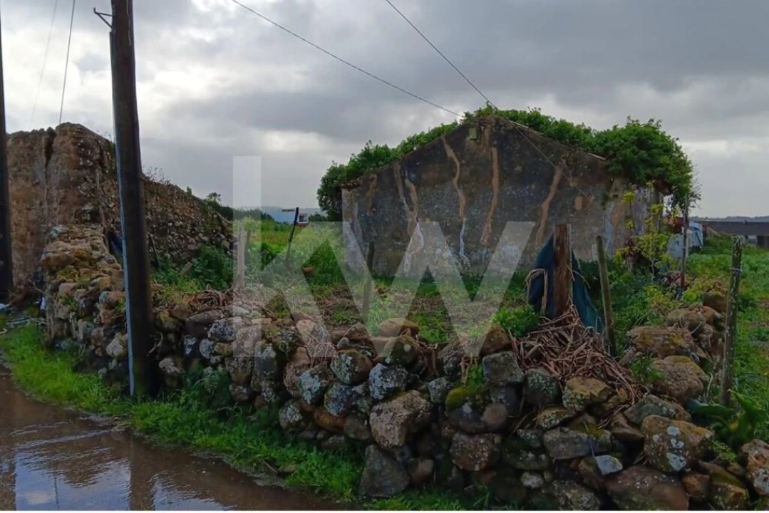 Quinta T4 para Venda em Santo Isidoro Foto 11