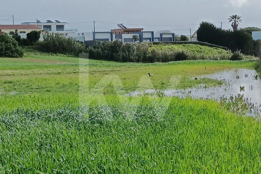 Quinta T4 para Venda em Santo Isidoro Foto 32