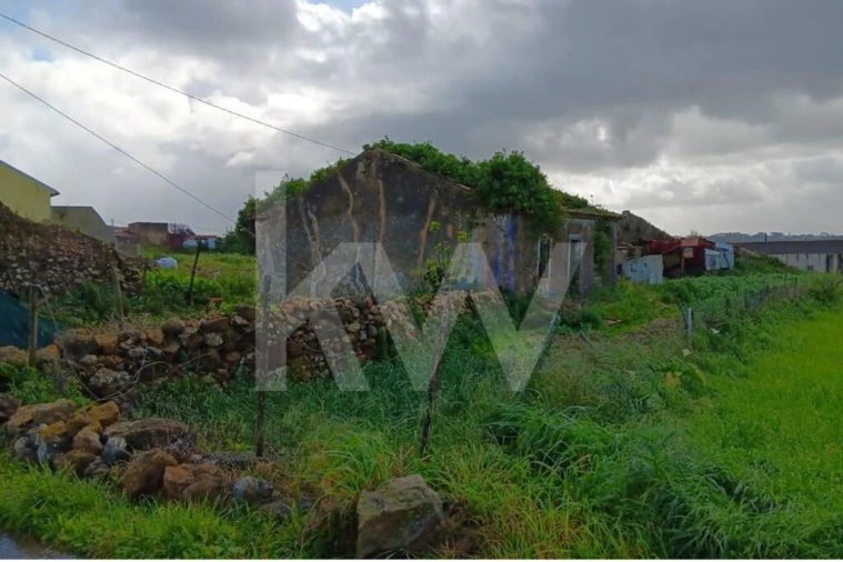 Quinta T4 para Venda em Santo Isidoro Foto 9