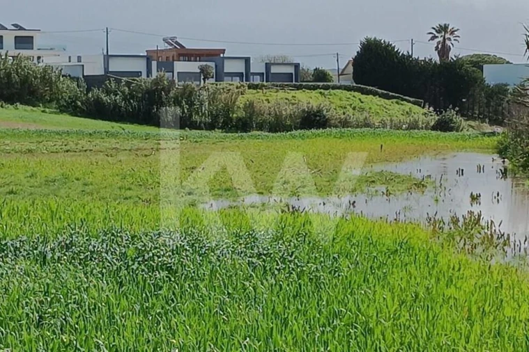 Quinta T4 para Venda em Santo Isidoro Foto 35