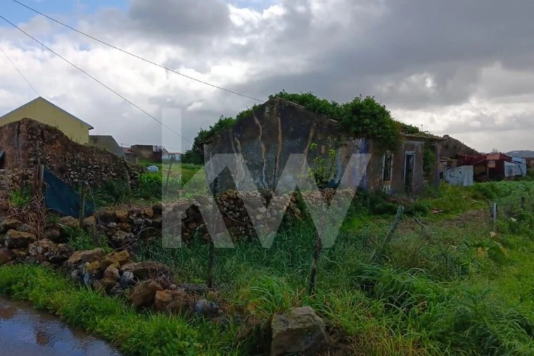 Quinta T4 para Venda em Santo Isidoro Foto 10