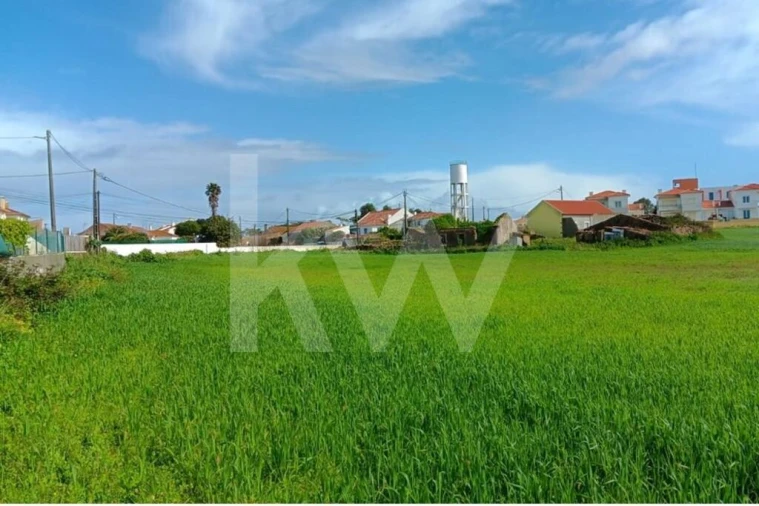 Quinta T4 para Venda em Santo Isidoro Foto 34
