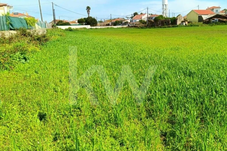 Quinta T4 para Venda em Santo Isidoro Foto 33