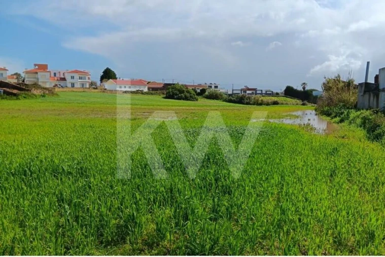 Quinta T4 para Venda em Santo Isidoro Foto 43