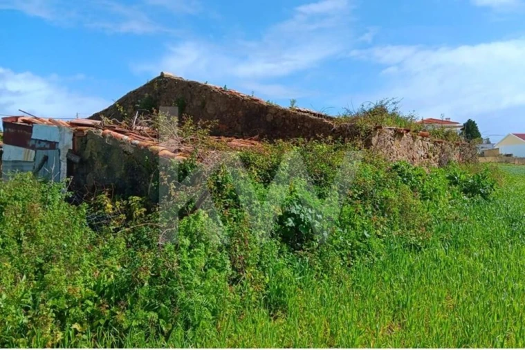 Quinta T4 para Venda em Santo Isidoro Foto 28