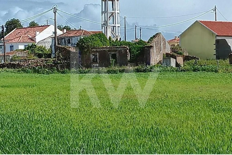 Quinta T4 para Venda em Santo Isidoro Foto 38