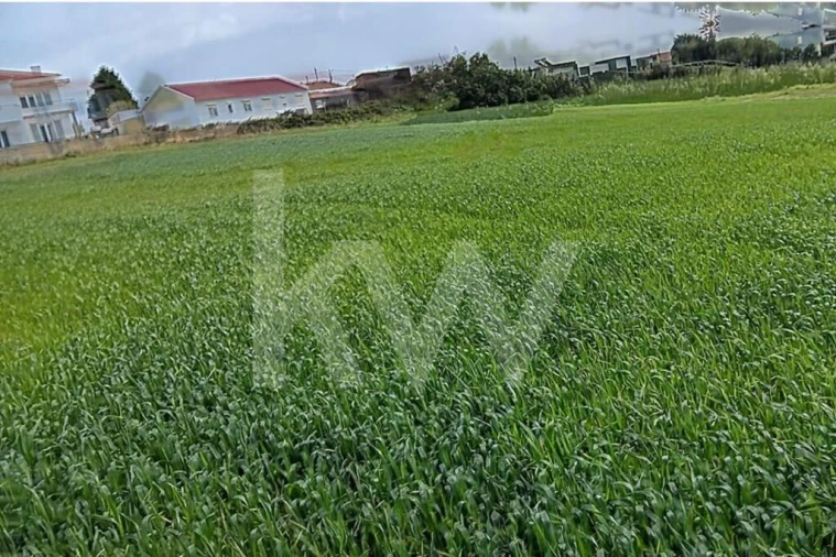 Quinta T4 para Venda em Santo Isidoro Foto 26