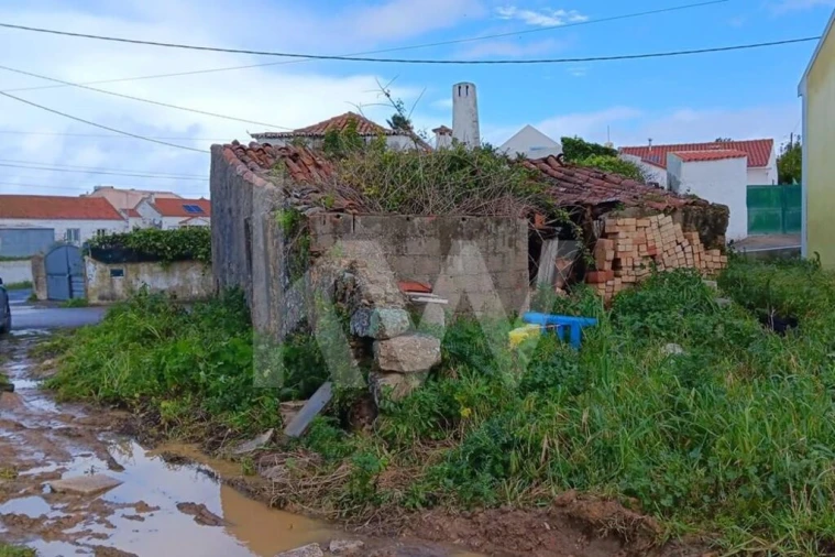 Quinta T4 para Venda em Santo Isidoro Foto 15