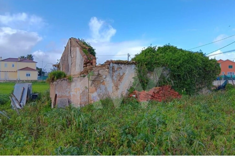 Quinta T4 para Venda em Santo Isidoro Foto 19
