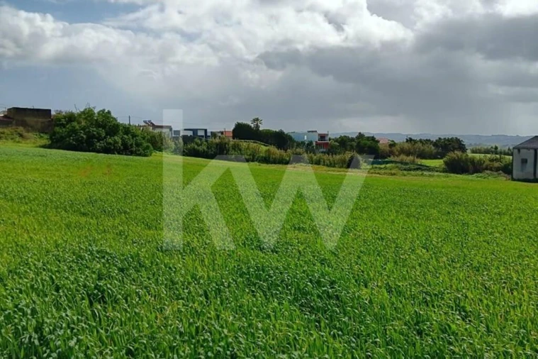 Quinta T4 para Venda em Santo Isidoro Foto 27