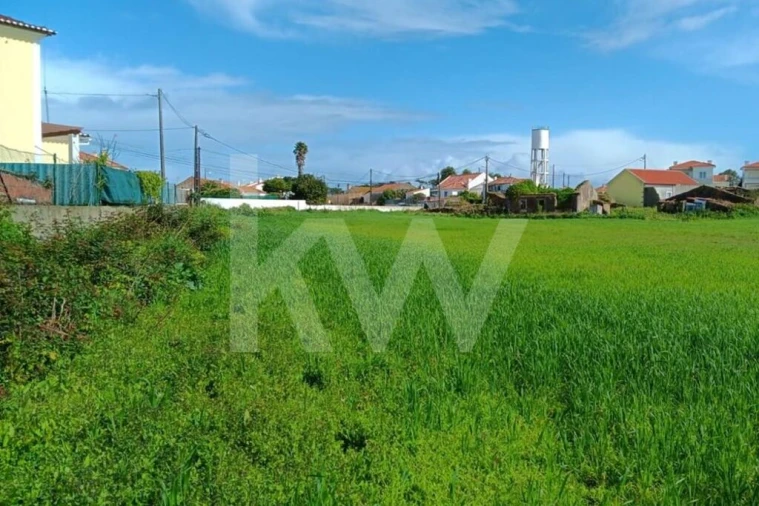 Quinta T4 para Venda em Santo Isidoro Foto 39