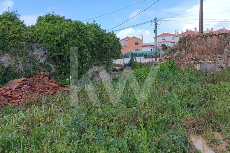 Quinta T4 para Venda em Santo Isidoro Foto 14