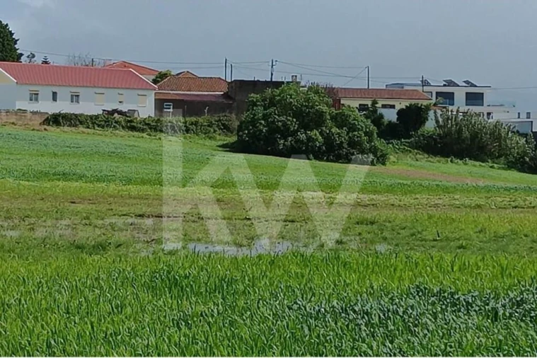Quinta T4 para Venda em Santo Isidoro Foto 36