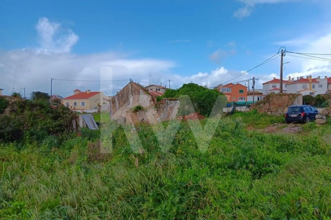 Quinta T4 para Venda em Santo Isidoro Foto 23