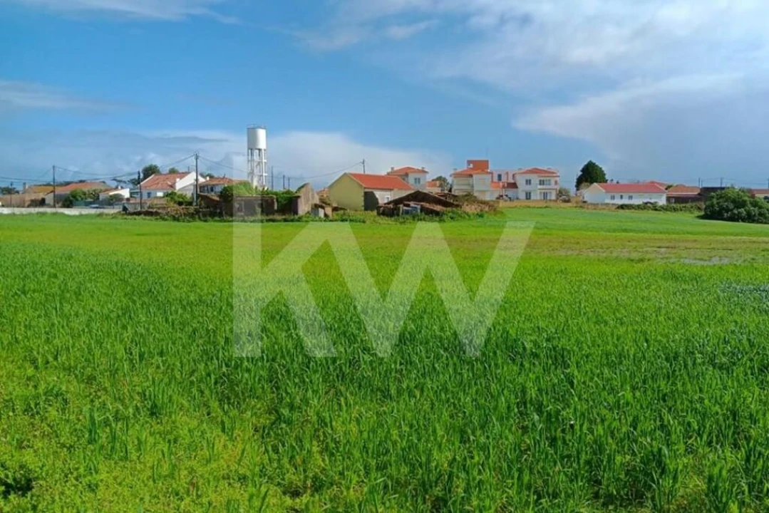 Quinta T4 para Venda em Santo Isidoro Foto 41