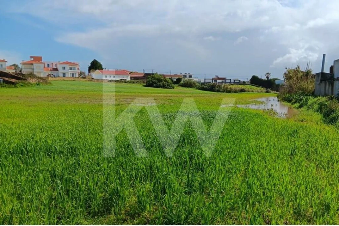 Quinta T4 para Venda em Santo Isidoro Foto 43