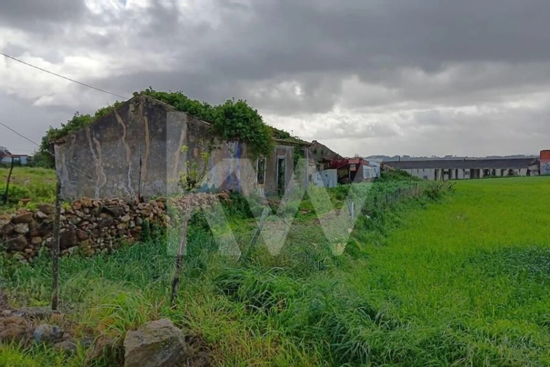 Quinta T4 para Venda em Santo Isidoro Foto 8