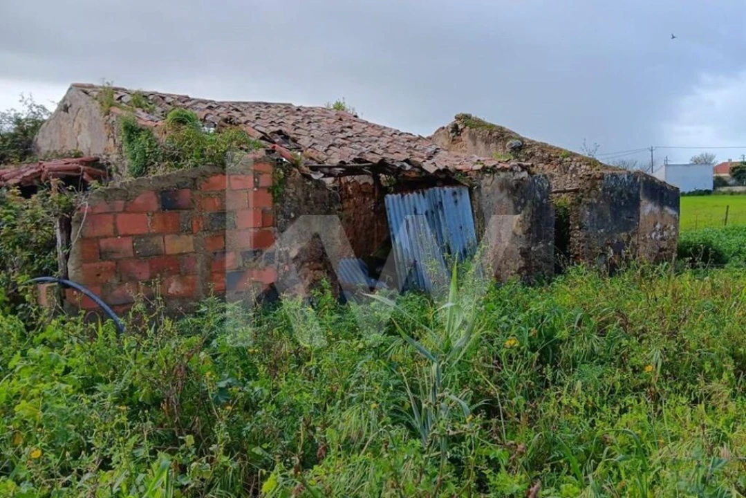 Quinta T4 para Venda em Santo Isidoro Foto 21