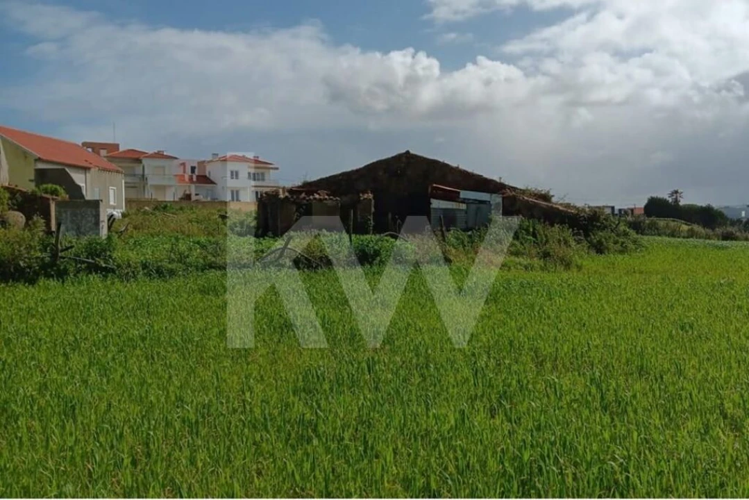 Quinta T4 para Venda em Santo Isidoro Foto 29