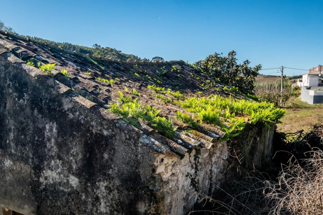 Moradia para Venda em Turcifal Foto 8