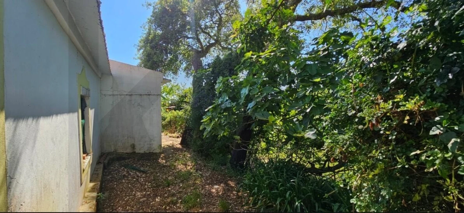 Quinta T9 para Venda em Santiago do Cacém, Santa Cruz e São Bartolomeu da Serra Foto 9