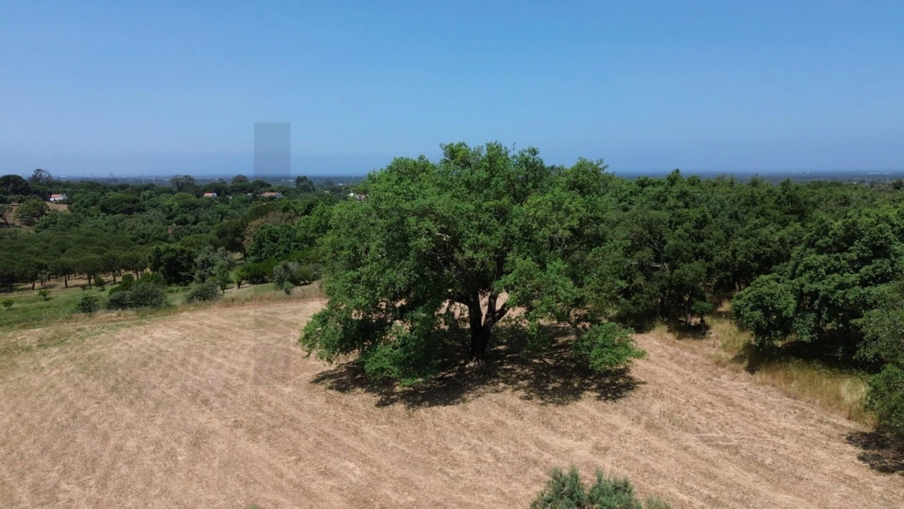 Quinta T9 para Venda em Santiago do Cacém, Santa Cruz e São Bartolomeu da Serra Foto 20