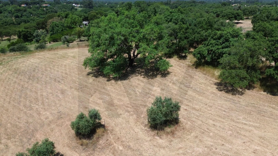 Quinta T9 para Venda em Santiago do Cacém, Santa Cruz e São Bartolomeu da Serra Foto 23