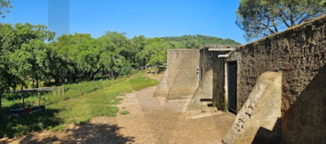 Quinta T9 para Venda em Santiago do Cacém, Santa Cruz e São Bartolomeu da Serra Foto 16